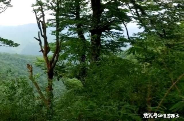HAHA体育十年运营